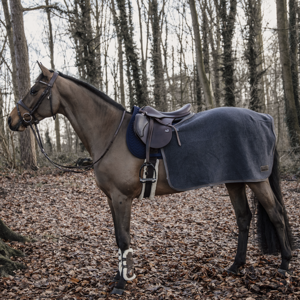 Kentucky Heavy fleece Lendenkleed